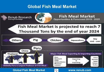 global-fish-meal-market-forecast