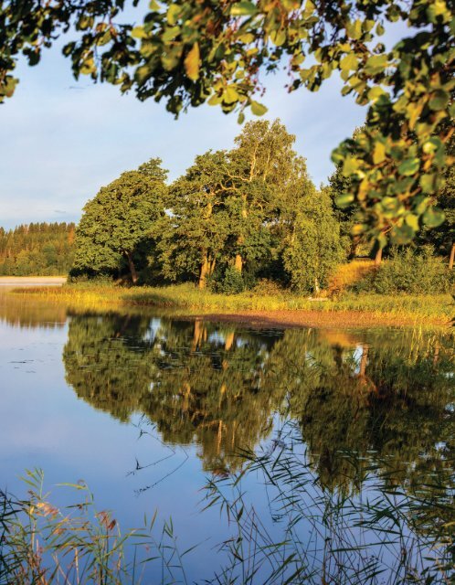 Upplev Skinnskatteberg 2019