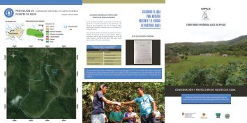 Conservación y protección de fuentes de agua Santo Domingo