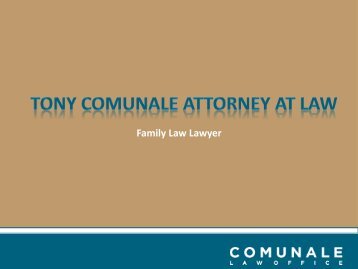 Family Law Attorney - Their Services