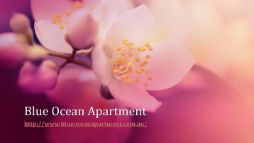 Waterfront Resort Accommodation Palm Beach Australia