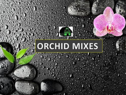 Best orchid mixes for phalaenopsis orchids.
