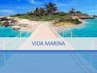 Carlos Luis Michel Fumero - Vida marina