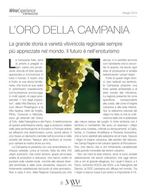 Wine Experience - Aprile 2019