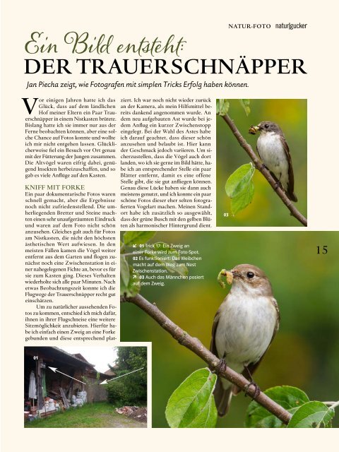 naturgucker Nr. 42