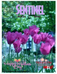 May 2019 issue small revised