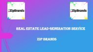 ZipBrands- Real Estate Lead Generation Service