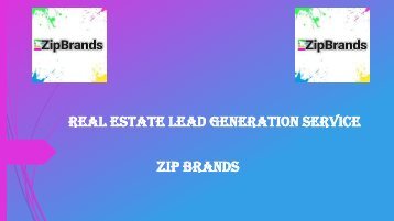 ZipBrands- Real Estate Lead Generation Service
