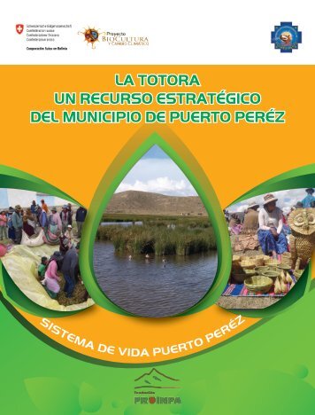 La Totora un recurso estratégico del Municipio de Puerto Peréz