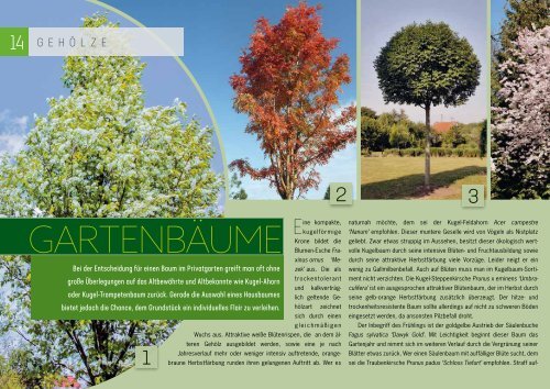 Schwehr Gartenbau 2019