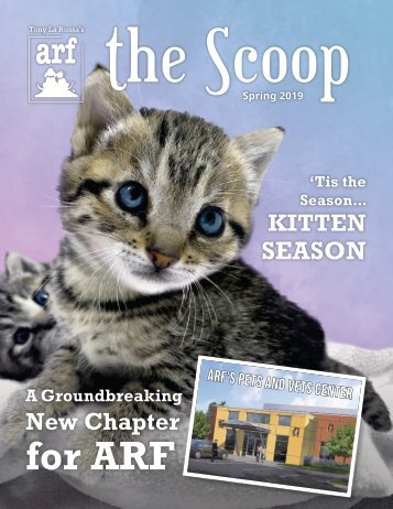 SCOOP Spring 2019 FINAL A