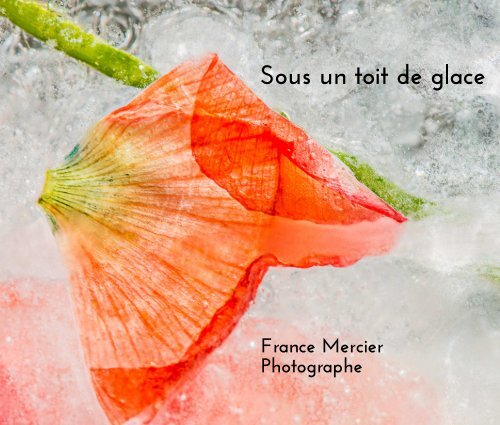 Sous un toit de glace, France Mercier