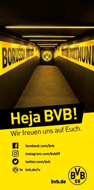 BVB geht aus – Leseprobe