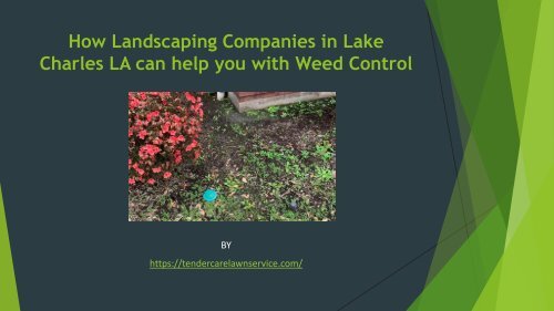 How Landscaping Companies in Lake Charles LA can help you with Weed Control