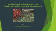 How Landscaping Companies in Lake Charles LA can help you with Weed Control
