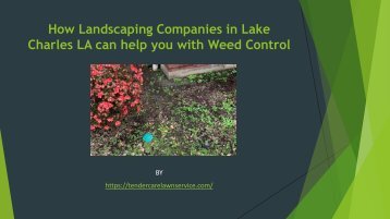 How Landscaping Companies in Lake Charles LA can help you with Weed Control