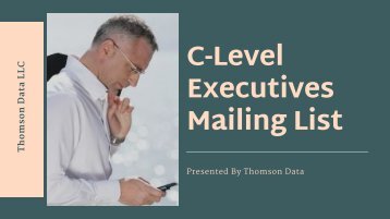 C-Level Executives Mailing List