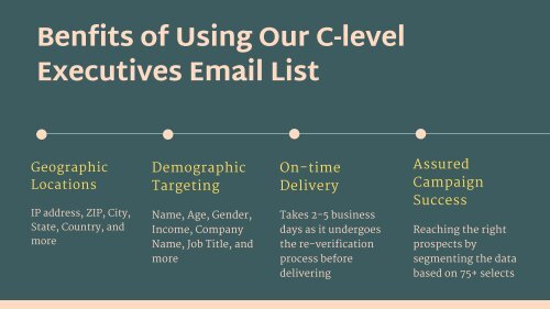 C-Level Executives Mailing List