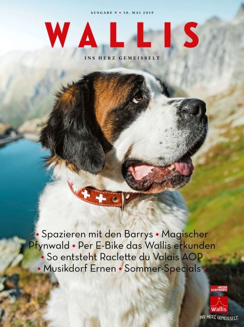 Magazin Wallis - Ausgabe 9 - Mai 2019