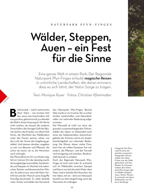 Magazin Wallis - Ausgabe 9 - Mai 2019