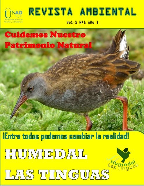 REVISTA DIGITAL 