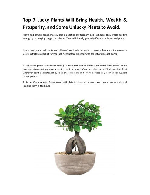 Top 7 Lucky Plants Will Bring Health, Wealth &amp;amp; Prosperity