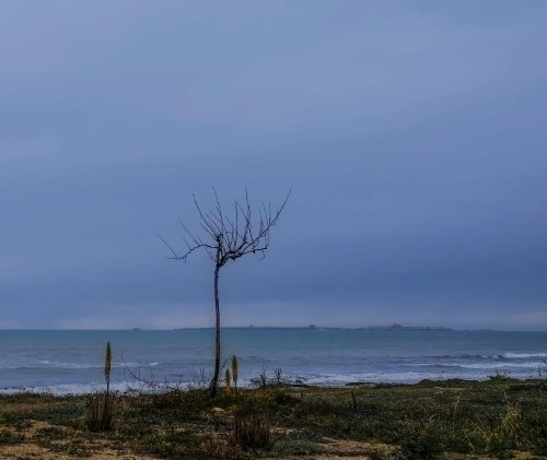 Presencias de luz