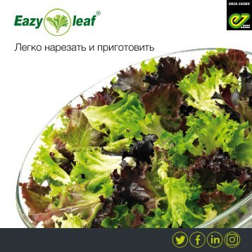 Салаты  Eazyleaf