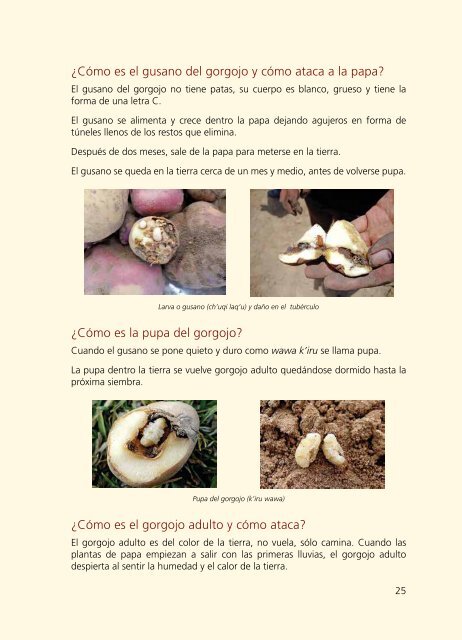 Manual para Agricultores sobre Buenas prácticas Agrícolas para Afrontar el Cambio Climático Parte 1