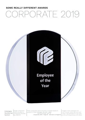 Some Really Different Trophies - Corporate 2019