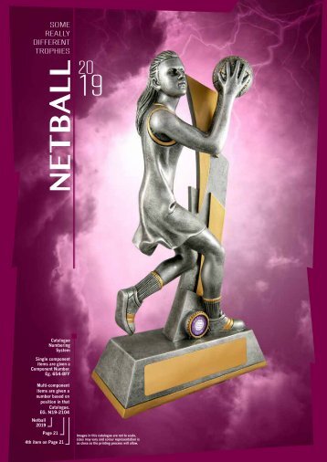 Some Really Different Trophies - Netball 2019