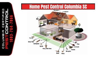 Home Pest Control Columbia SC