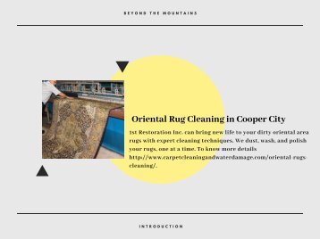 Oriental Rug Cleaning in Cooper City