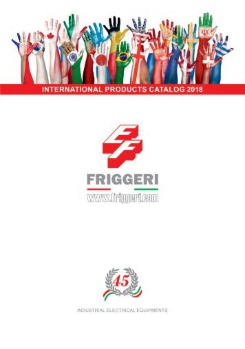 Friggeri - Industrial Electrical Equipment - 2018 (EN)