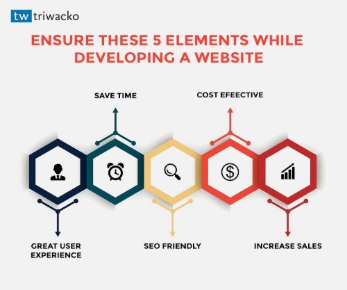 Best Website Development Company IN Gurgaon-Triwacko IT Solution