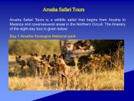 Arusha Safari Tours