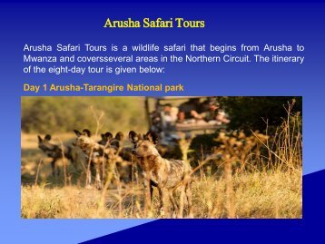 Arusha Safari Tours