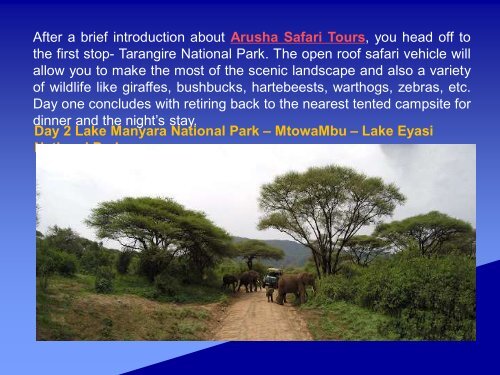 Arusha Safari Tours