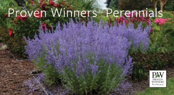 2019 Proven Winners Book