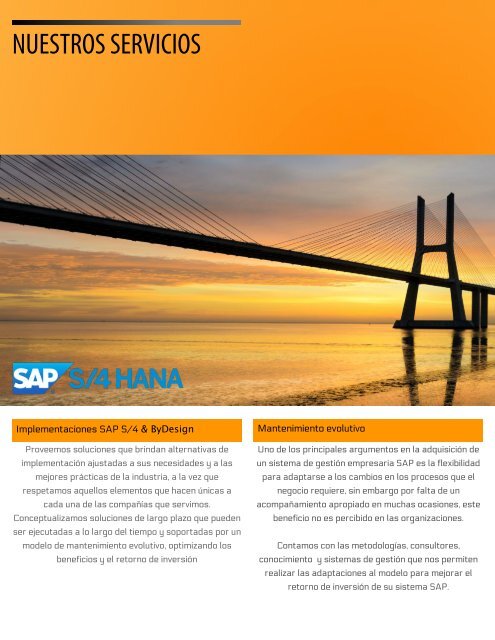 1-800SAP Brochure