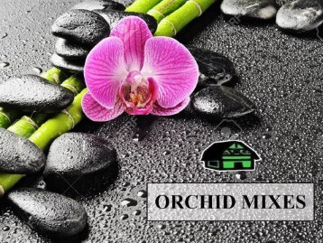 Best orchid mixes provided by Green Barn Orchid Supplies 