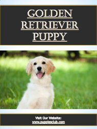 The Golden Retriever Puppy Handbook Gold Rush Goldens