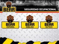 BEAR presentacion 2017