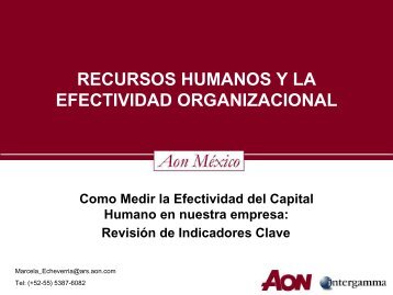 Recursos Humanos Y La Efectividad Organizacional (Roi)