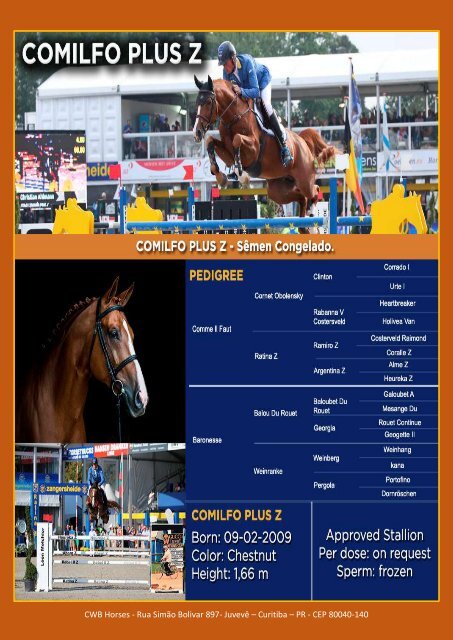 Catalogo CWB Horses 2019 2020 Z