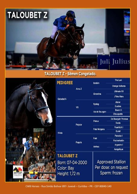 Catalogo CWB Horses 2019 2020 Z