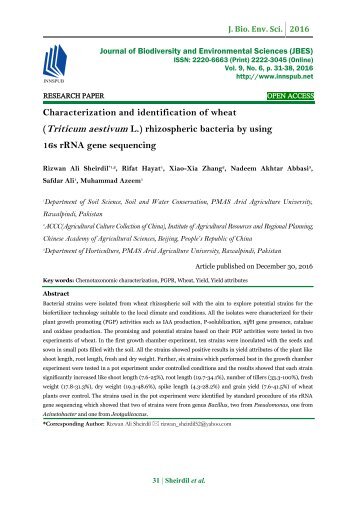 Characterization and identification of wheat (Triticum aestivum L.) rhizospheric bacteria by using 16s rRNA gene sequencing