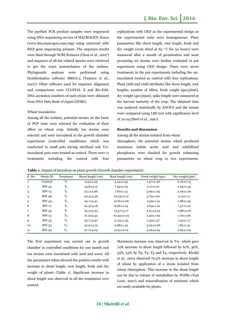 Characterization and identification of wheat (Triticum aestivum L.) rhizospheric bacteria by using 16s rRNA gene sequencing