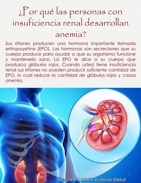 Revista White Note - Insuficiencia Renal