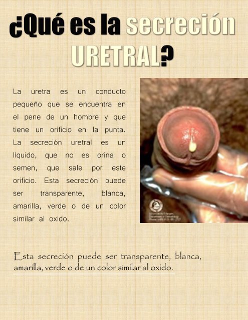 Revista White Note - Insuficiencia Renal